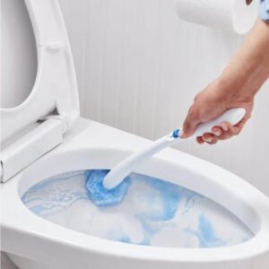 Toilet Cleaner
